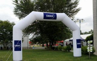 Swan